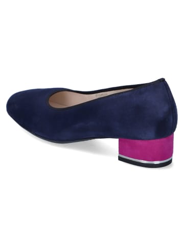 Ara Shoes Pumps in Blau