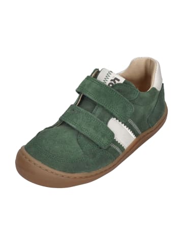 KOEL Sneaker Low BALI SUEDE 3.0 in braun