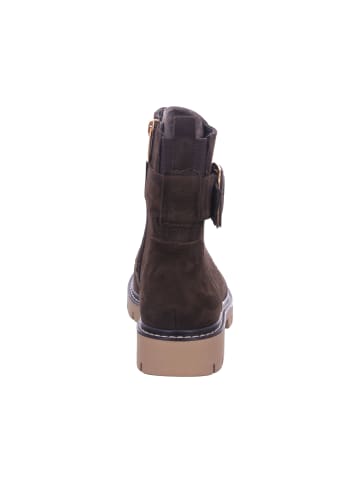 Tamaris Winterstiefeletten in MOCCA SUEDE
