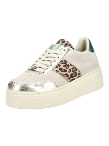 Steve Madden Sneaker in Grün