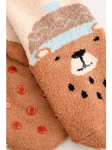 Coccodrillo Socken in bunt