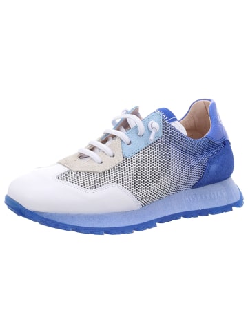 Hispanitas Schnürschuhe in white/indigo