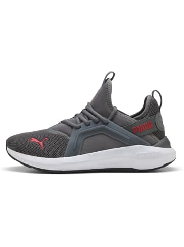 Puma Laufschuh "Softride Enzo 5" in Grau