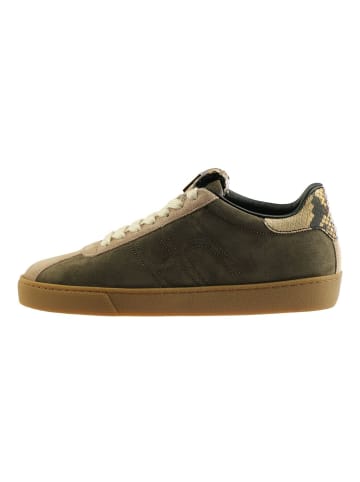 Högl Sneaker in Dunkelbraun