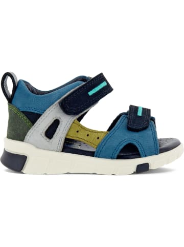 Ecco Sandalen MINI STRIDE SANDAL in multicolor sea port