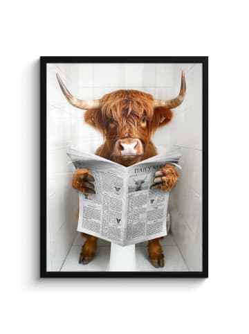 MuchoWow Poster mit Leiste Zeitung Schottisches Hochlandrind  (BxH)