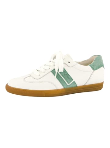 Paul Green Sneaker Weiß/Grün