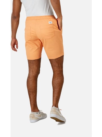 Reell Short "Reflex Easy Short" in Grau