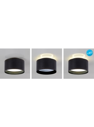 näve LED Spot "Trios" Ø 14 cm in Schwarz