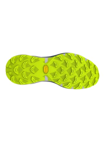 DYNAFIT Joggingschuhe in blau