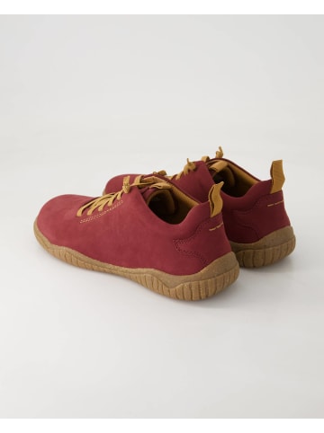 Josef Seibel Slip On Sneaker in Bordeaux