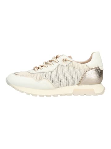 Hispanitas Sneaker in Gold