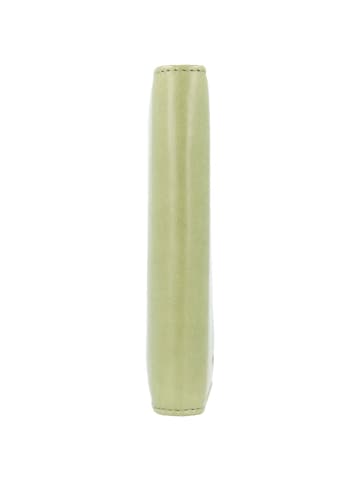 Greenland Nature Soft Colour Reisepassetui RFID Leder 12 cm pistazie