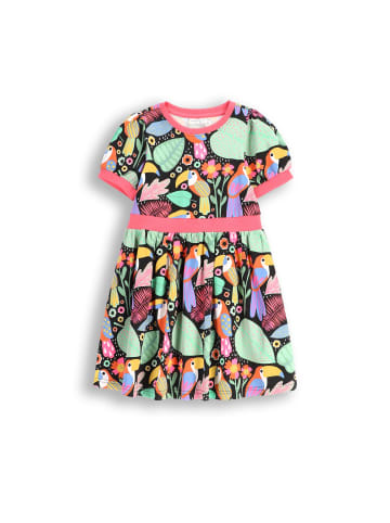 Coccodrillo Kleid in bunt