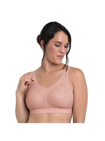 Anita BH 1er Pack in Rosa
