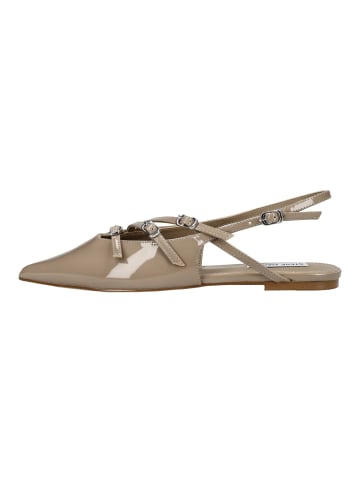 Steve Madden Ballerinas in Taupe Lack