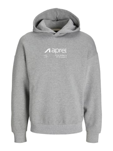 Aprel Kapuzenpullover in Light Grey Melange