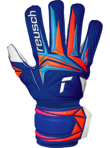 Reusch Torwarthandschuhe Attrakt Advance Junior in 4126 sharp blu/wht/shock orng