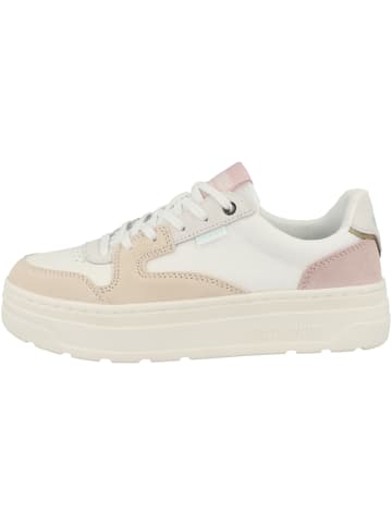 Palladium Sneaker low Pallasphalt Lo in beige