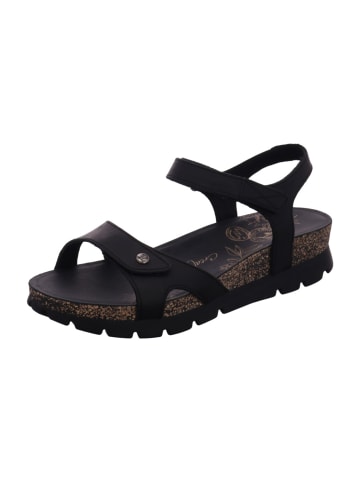 PANAMA JACK Damensandalette sportlich flach Sulia Basics B2/PT181783B002 in  Schwarz