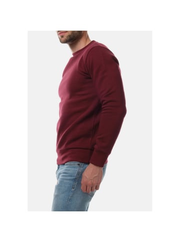 HopenLife Sweatshirt AVALANCHE in Bordeaux