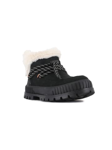 Palladium Stiefel PALLASHOCK LO HIVER in schwarz