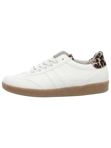 Gabor Schnürschuh in creme
