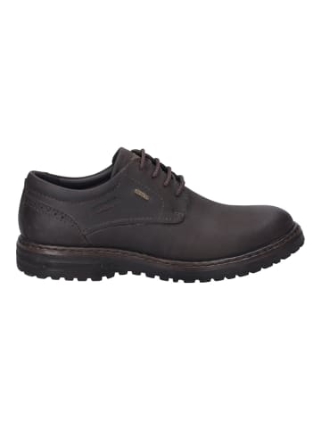 Josef Seibel Freizeitschuhe Erroll in braun in braun