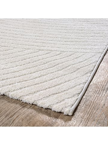 the carpet Kurzflorteppich Everest G in Creme
