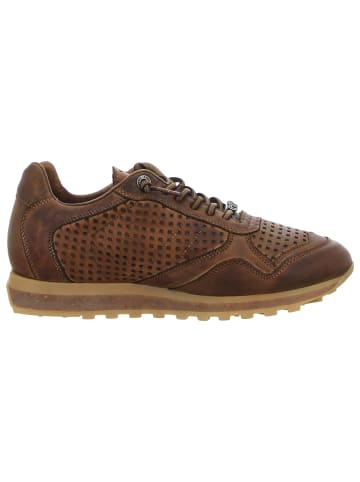 Cetti Sneaker Low in grau