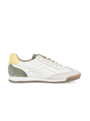 Gabor Sneaker low in beige