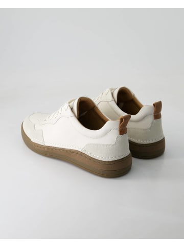 Josef Seibel Sneaker low in Weiß