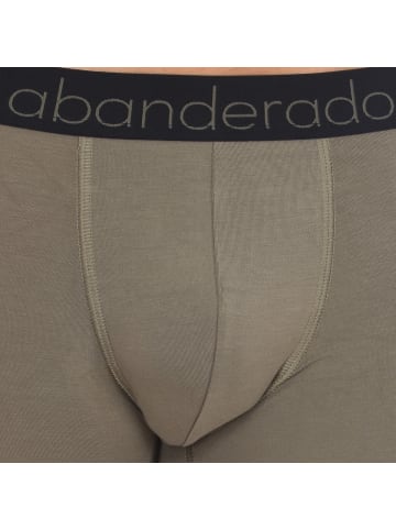Abanderado 2er-Set: Boxershorts in Multicolored