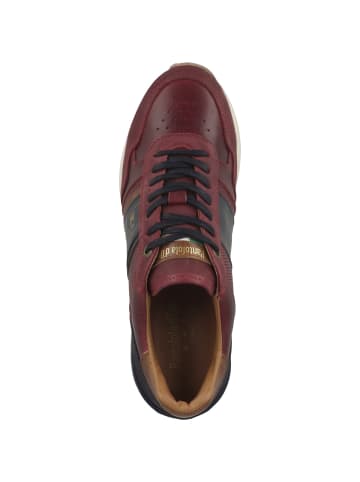 Pantofola D'Oro Sneaker low Ponte Runner Uomo Low in rot