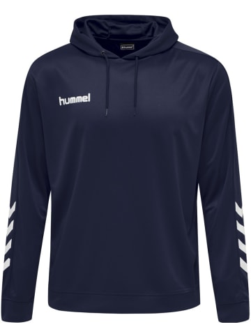 Hummel Hoodie in Blau