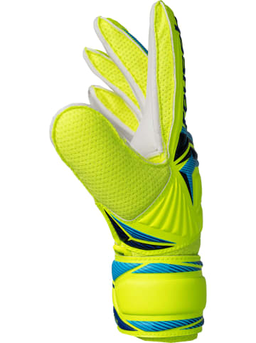 Reusch Torwarthandschuhe Attrakt Solid Junior in 2005 safe yellw/sharp blue