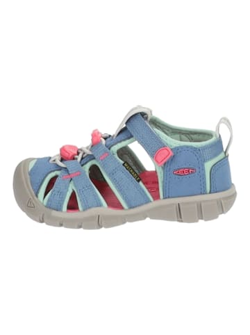 Keen Wanderschuhe in Blau/Pink