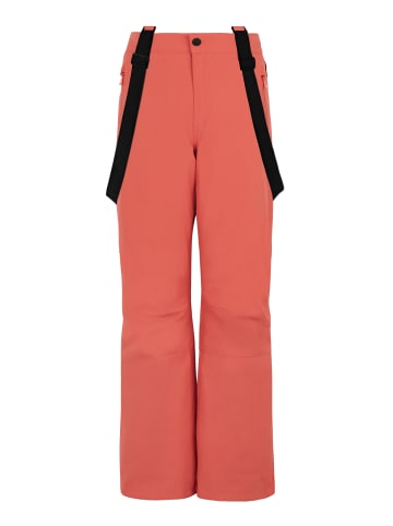 Protest " SUNNY JR in Tosca Red