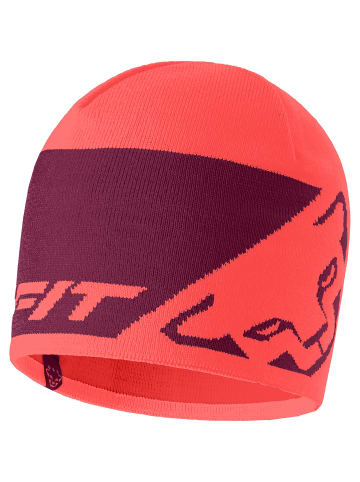 DYNAFIT LEOPARD LOGO BEANIE in Lachs