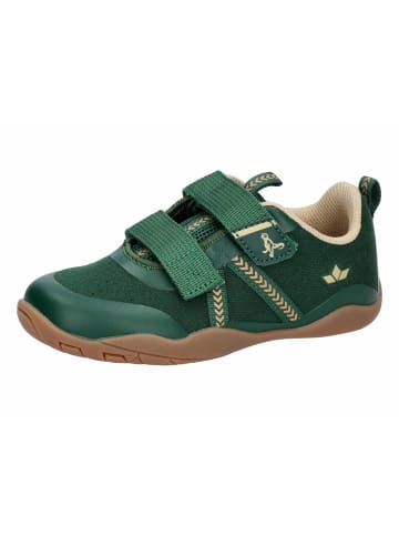 Lico Barefoot Schuhe "Aride V" in Blau