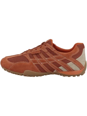 Geox Sneaker low U Snake Original A in rot