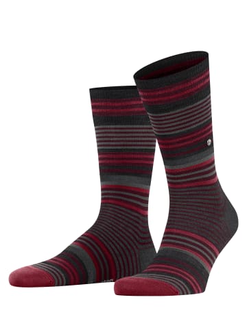 Burlington Socken Stripe in Oxford