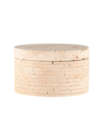 4Living Behälter aus Zement mit Deckel ALEX in Beige, 13 x 8 cm
