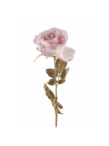 Fink Kunstblume Rose mauve - (H) 66 cm