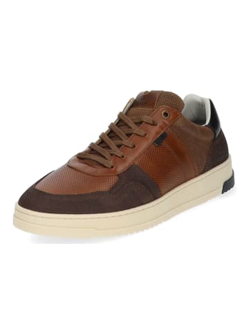 Bullboxer Sneaker in Cognac