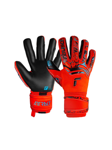 Reusch Torwarthandschuhe Attrakt Gold X in 3333  brig red/futr blu/blck