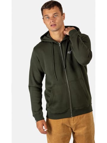 Reell Hoodie "Staple Logo Zip Hoodie" in Grün