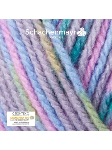 Schachenmayr since 1822 Handstrickgarne Bravo Color, 50g in Pastell