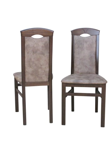 möbel-direkt Stühle (2 Stück) Bodo in Gestell nussbaum, Stoff camel
