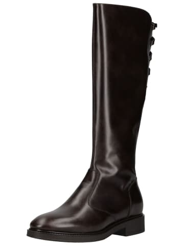 Nero Giardini Stiefel in Dunkelbraun